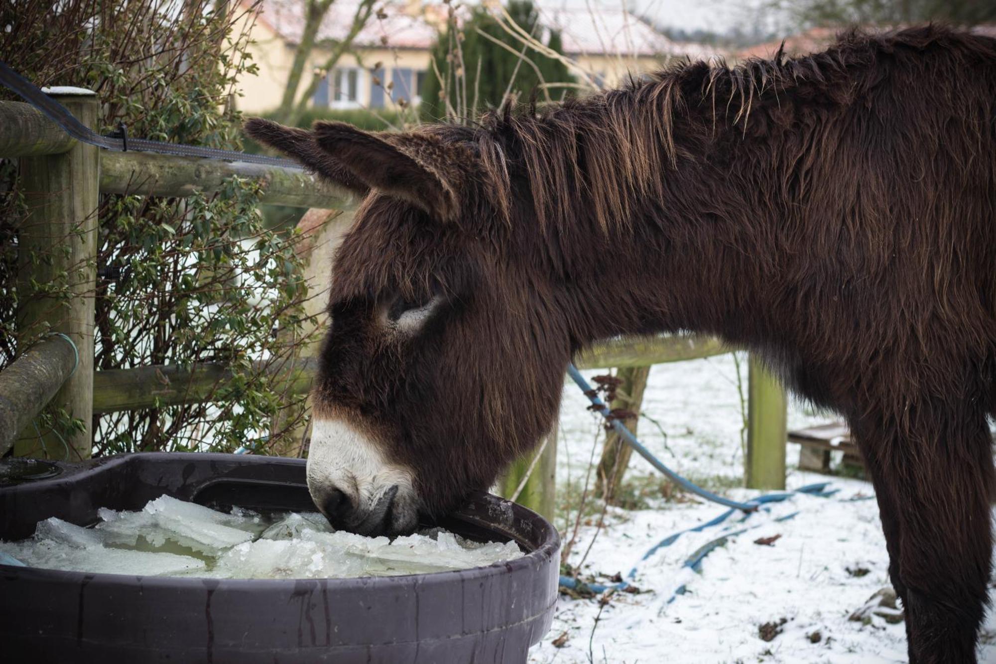 Ferienwohnung Domaine Des Fees La Gaubretiere Zimmer foto
